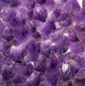 Meet your Posher, Cassady